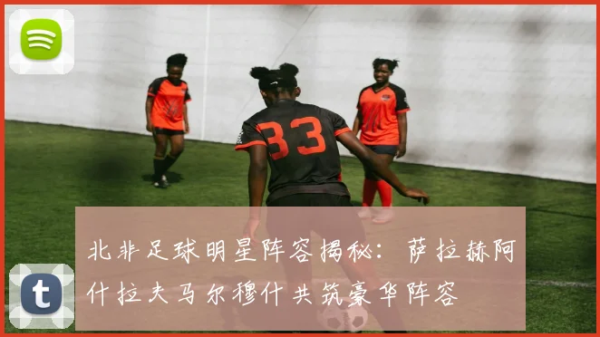北非足球明星阵容揭秘：萨拉赫阿什拉夫马尔穆什共筑豪华阵容