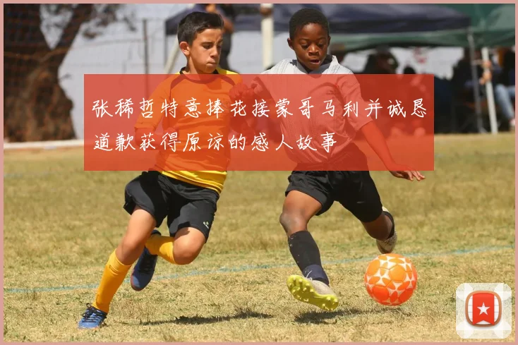 张稀哲特意捧花接蒙哥马利并诚恳道歉获得原谅的感人故事