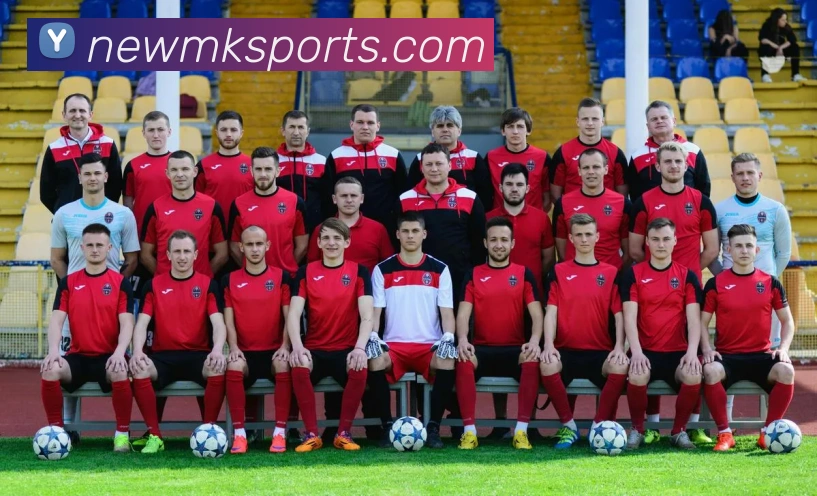 MK体育平台生态图