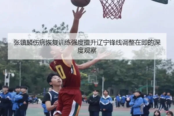 张镇麟伤病恢复训练强度提升辽宁锋线调整在即的深度观察 - MK